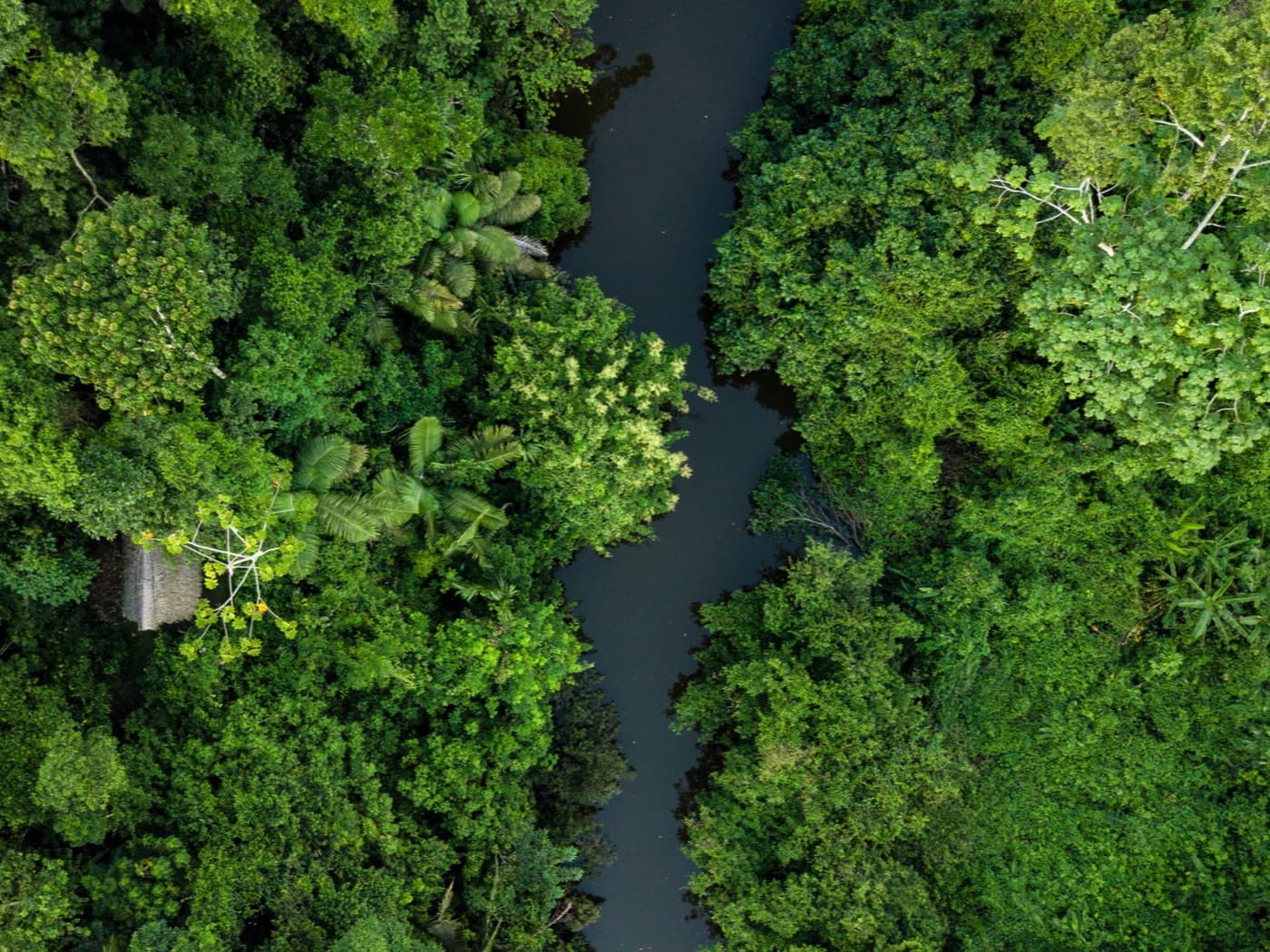 Rio estreito atravessando a mata fechada, visto de cima